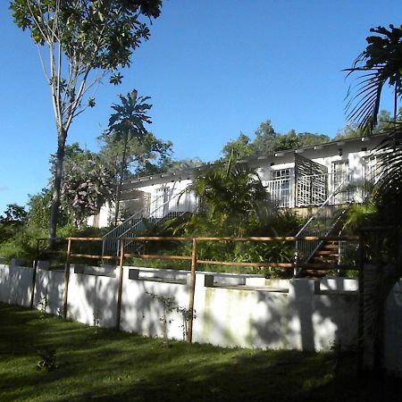 Bush Baby Glen Villa Hazyview Bagian luar foto