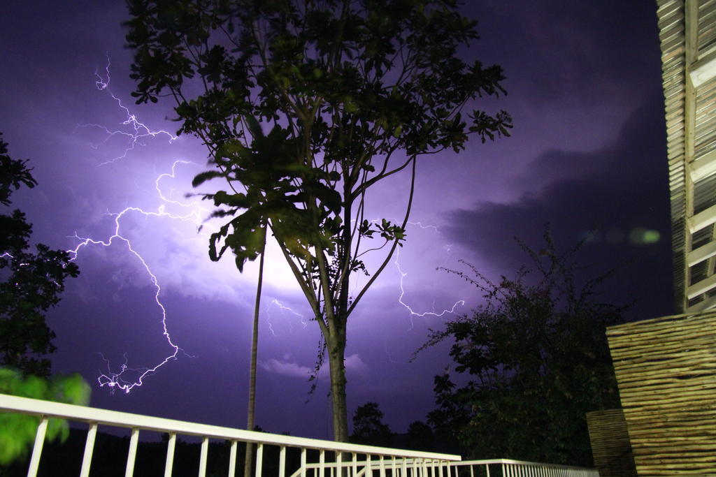 Bush Baby Glen Villa Hazyview Ruang foto