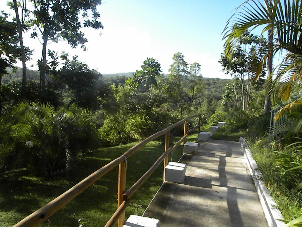Bush Baby Glen Villa Hazyview Bagian luar foto